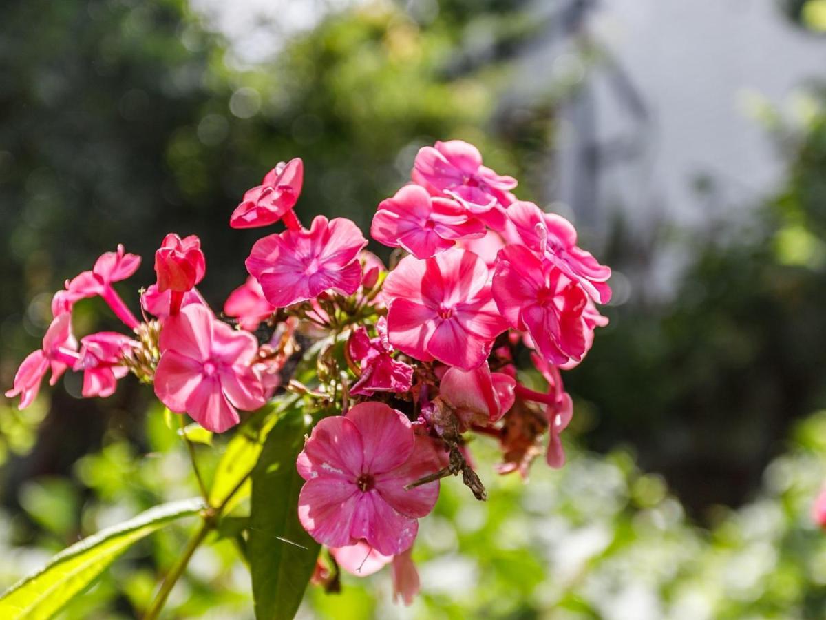 Kleebergerhofke Bed & Breakfast Mechelen Ngoại thất bức ảnh